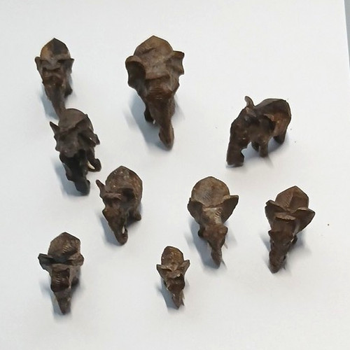 Carved wooden elephant - carved,
