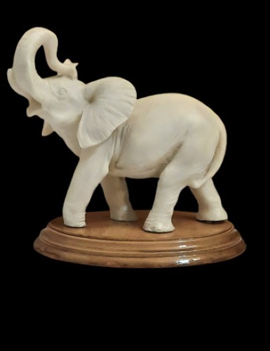 Light cream coloured - coloured, african